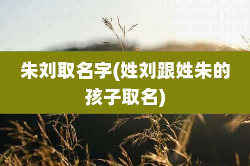 朱刘取名字(姓刘跟姓朱的孩子取名)