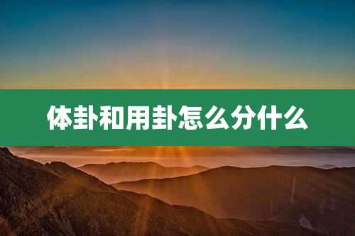 体卦和用卦怎么分什么