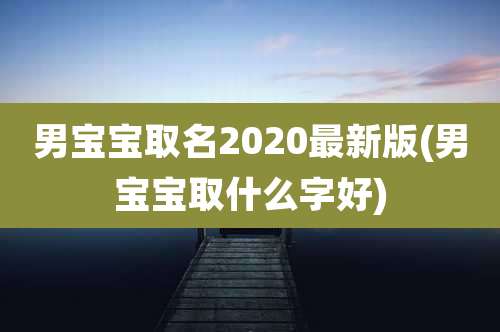 男宝宝取名2020最新版(男宝宝取什么字好)