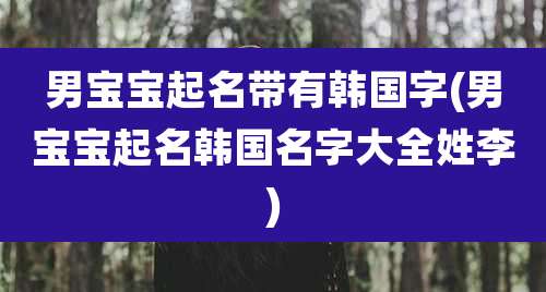 男宝宝起名带有韩国字(男宝宝起名韩国名字大全姓李)