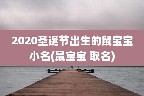 2020圣诞节出生的鼠宝宝小名(鼠宝宝 取名)