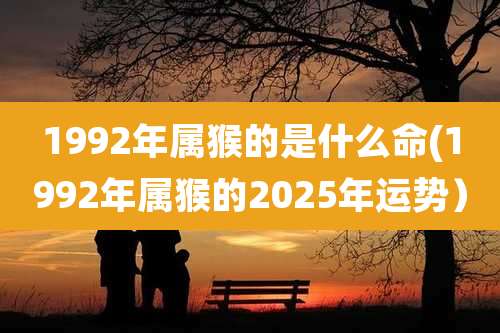 1992年属猴的是什么命(1992年属猴的2025年运势）