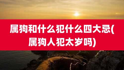 属狗和什么犯什么四大忌(属狗人犯太岁吗)