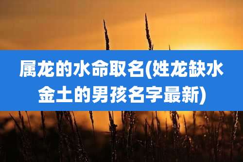 属龙的水命取名(姓龙缺水金土的男孩名字最新)