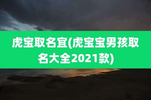 虎宝取名宜(虎宝宝男孩取名大全2021款)
