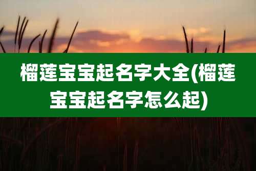 榴莲宝宝起名字大全(榴莲宝宝起名字怎么起)