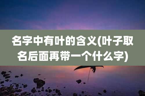 名字中有叶的含义(叶子取名后面再带一个什么字)