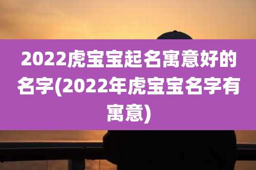2022虎宝宝起名寓意好的名字(2022年虎宝宝名字有寓意)