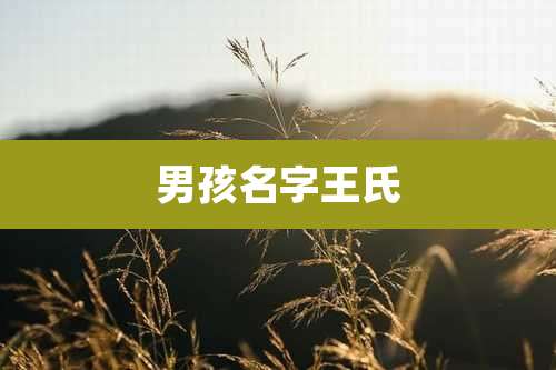 男孩名字王氏