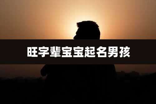 旺字辈宝宝起名男孩
