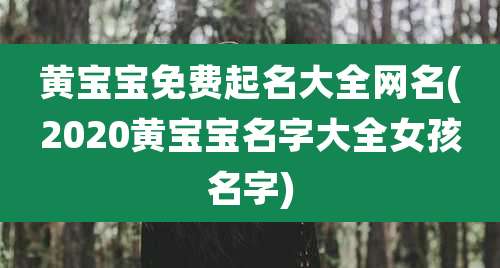 黄宝宝免费起名大全网名(2020黄宝宝名字大全女孩名字)