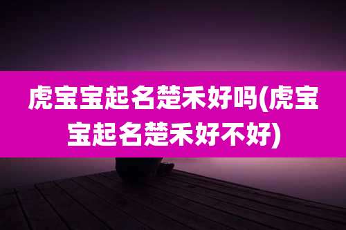 虎宝宝起名楚禾好吗(虎宝宝起名楚禾好不好)