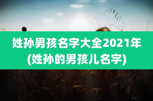 姓孙男孩名字大全2021年(姓孙的男孩儿名字)
