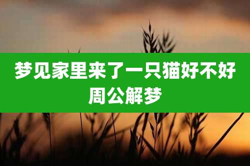 梦见家里来了一只猫好不好周公解梦