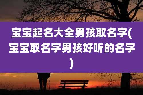 宝宝起名大全男孩取名字(宝宝取名字男孩好听的名字)