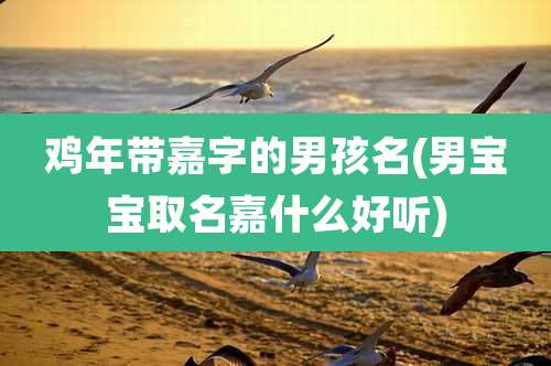 鸡年带嘉字的男孩名(男宝宝取名嘉什么好听)