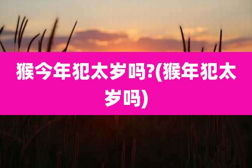 猴今年犯太岁吗?(猴年犯太岁吗)