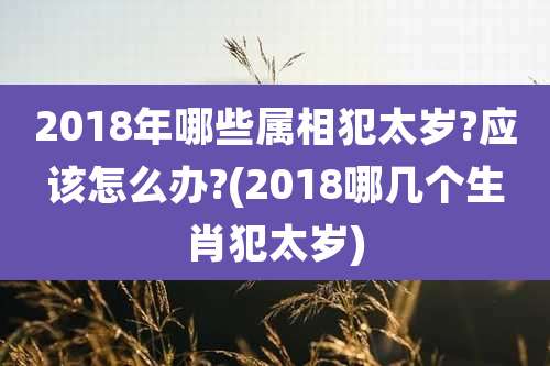 2018年哪些属相犯太岁?应该怎么办?(2018哪几个生肖犯太岁)