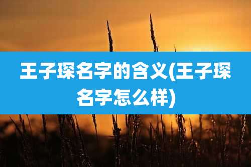 王子琛名字的含义(王子琛名字怎么样)