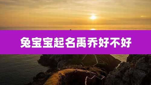 兔宝宝起名禹乔好不好