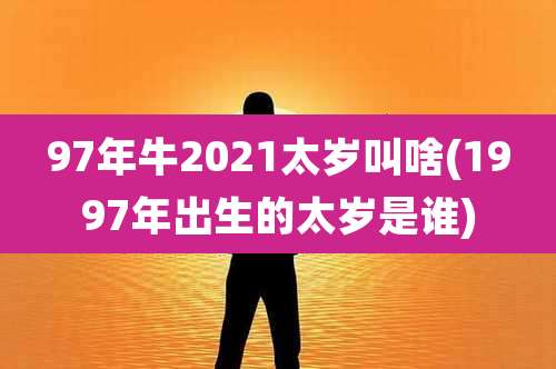 97年牛2021太岁叫啥(1997年出生的太岁是谁)
