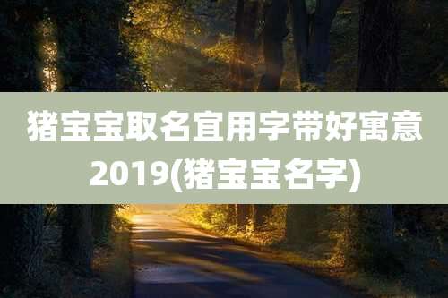 猪宝宝取名宜用字带好寓意2019(猪宝宝名字)