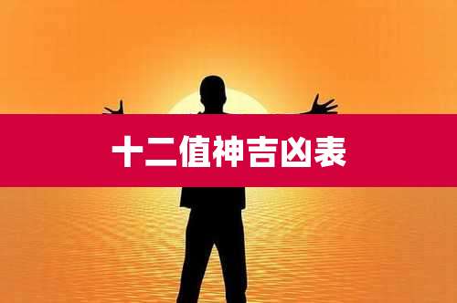 十二值神吉凶表