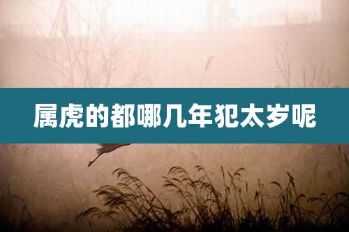 属虎的都哪几年犯太岁呢