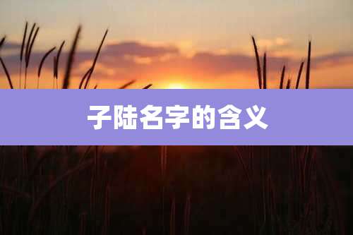 子陆名字的含义