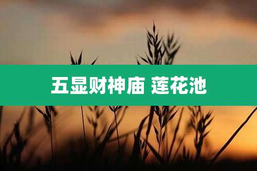 五显财神庙 莲花池