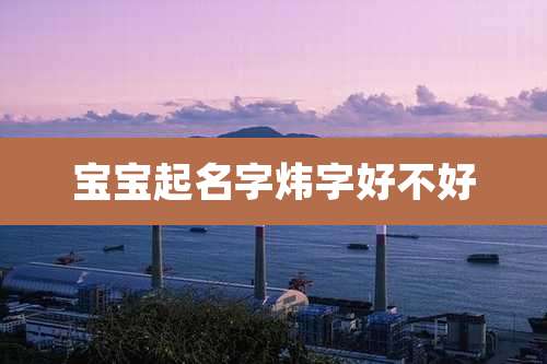 宝宝起名字炜字好不好