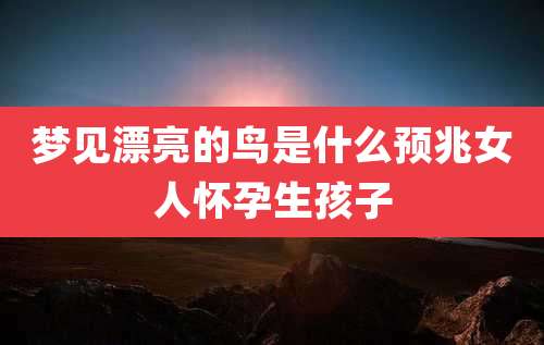 梦见漂亮的鸟是什么预兆女人怀孕生孩子