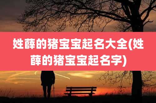 姓薛的猪宝宝起名大全(姓薛的猪宝宝起名字)