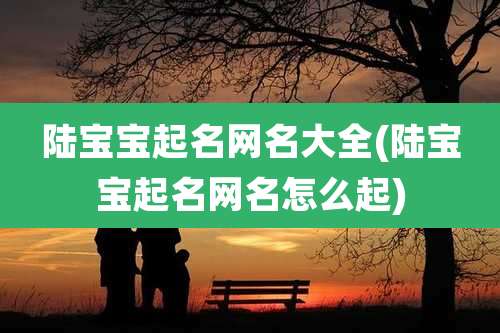 陆宝宝起名网名大全(陆宝宝起名网名怎么起)