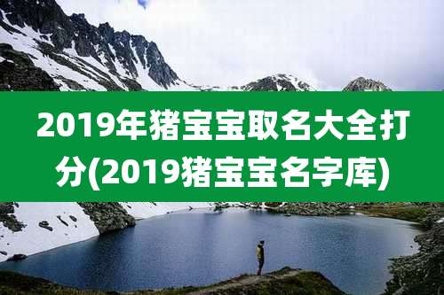 2019年猪宝宝取名大全打分(2019猪宝宝名字库)