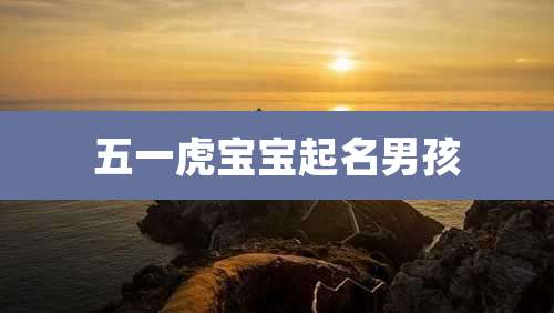 五一虎宝宝起名男孩