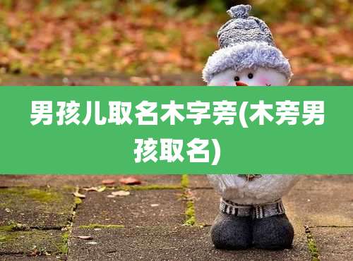 男孩儿取名木字旁(木旁男孩取名)