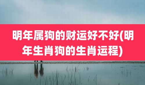 明年属狗的财运好不好(明年生肖狗的生肖运程)