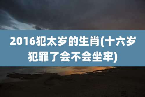 2016犯太岁的生肖(十六岁犯罪了会不会坐牢)