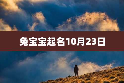 兔宝宝起名10月23日