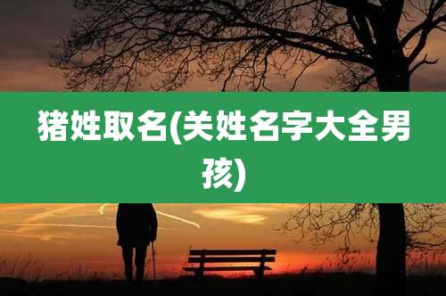 猪姓取名(关姓名字大全男孩)