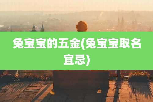 兔宝宝的五金(兔宝宝取名宜忌)