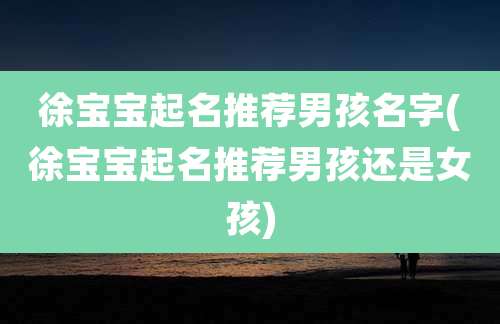 徐宝宝起名推荐男孩名字(徐宝宝起名推荐男孩还是女孩)