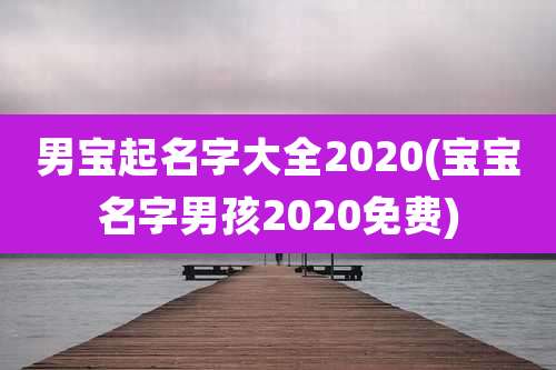 男宝起名字大全2020(宝宝名字男孩2020免费)
