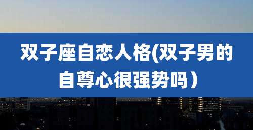双子座自恋人格(双子男的自尊心很强势吗）
