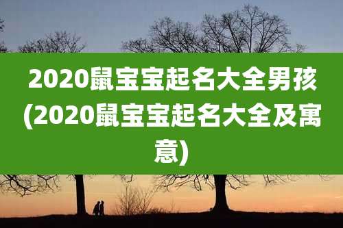 2020鼠宝宝起名大全男孩(2020鼠宝宝起名大全及寓意)