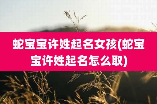 蛇宝宝许姓起名女孩(蛇宝宝许姓起名怎么取)