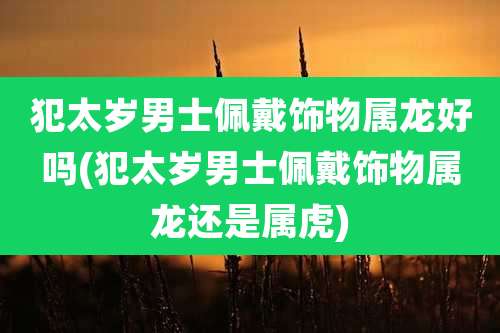 犯太岁男士佩戴饰物属龙好吗(犯太岁男士佩戴饰物属龙还是属虎)