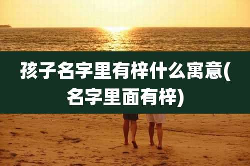 孩子名字里有梓什么寓意(名字里面有梓)