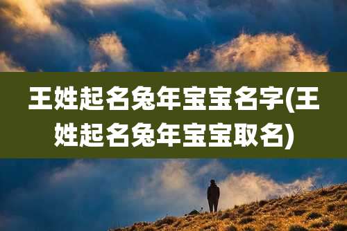 王姓起名兔年宝宝名字(王姓起名兔年宝宝取名)